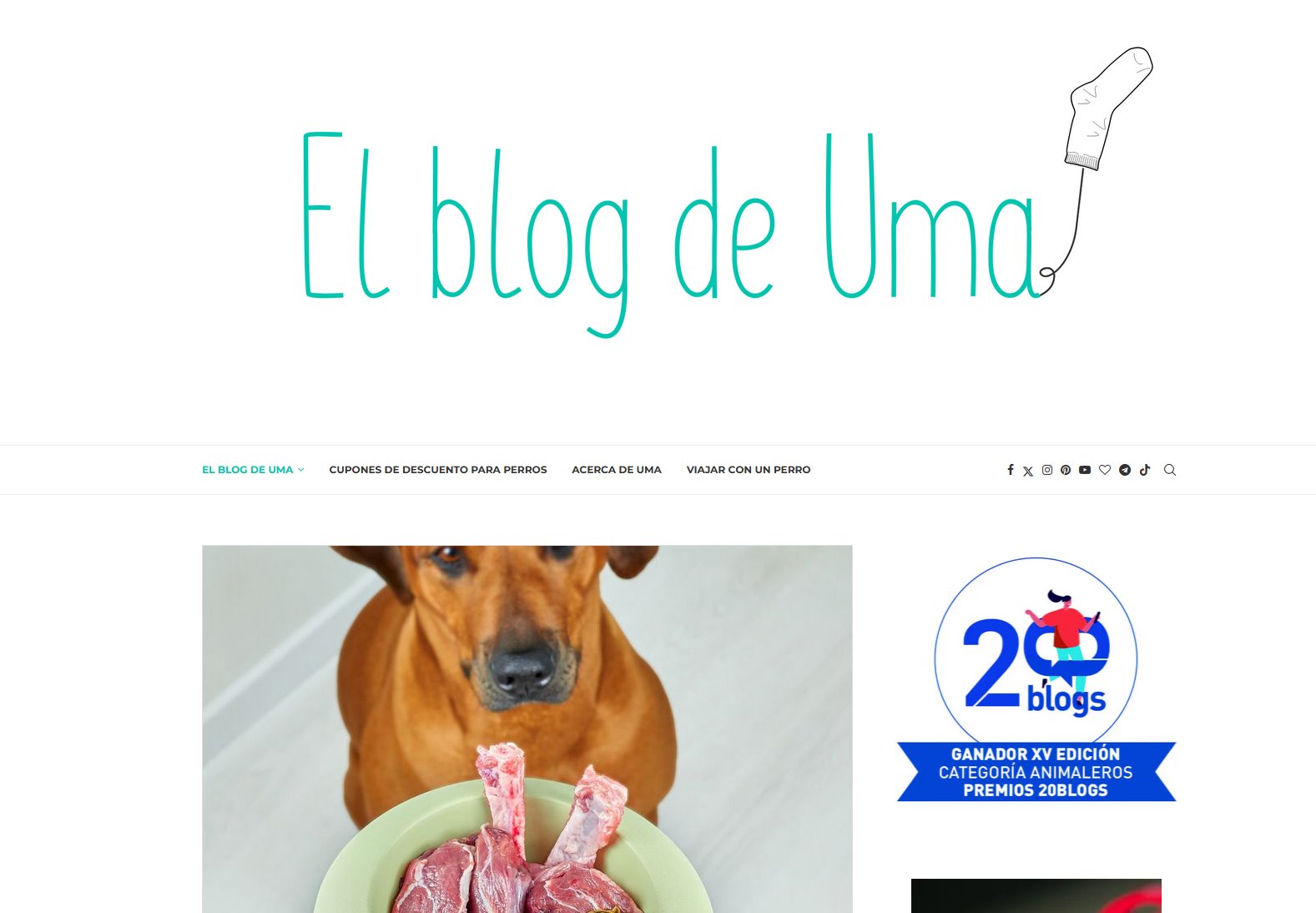 ℹTOP 10: Mejores Blogs de Animales de España [2026]