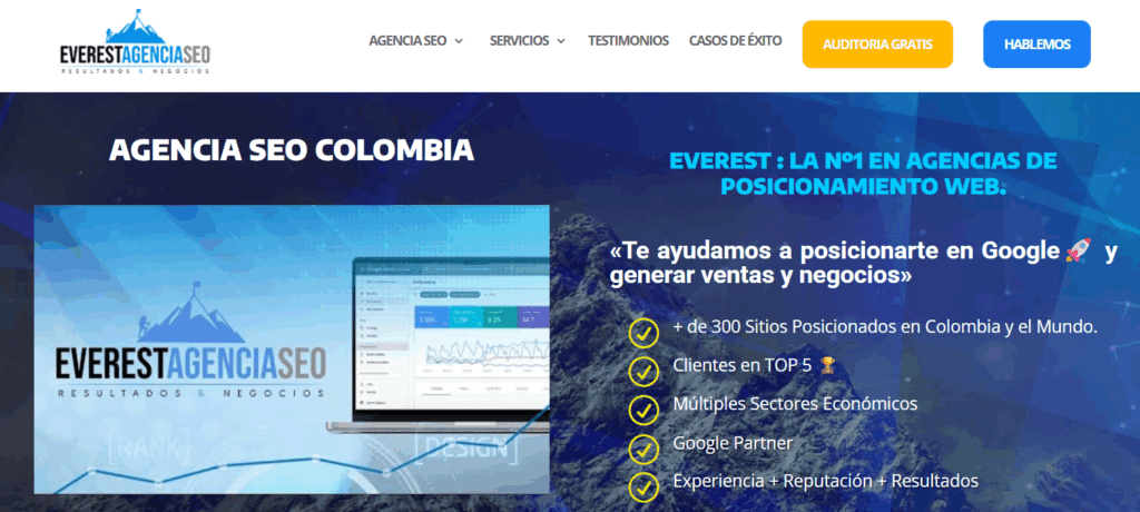 everest agencia seo colombia