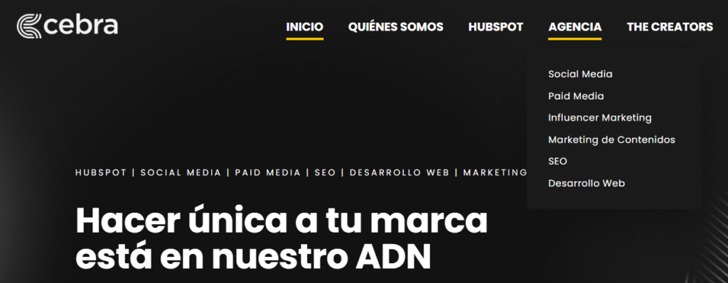 Cebra agencia SEO 